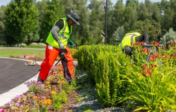 Commercial Maintenance - Northwood Landscaping