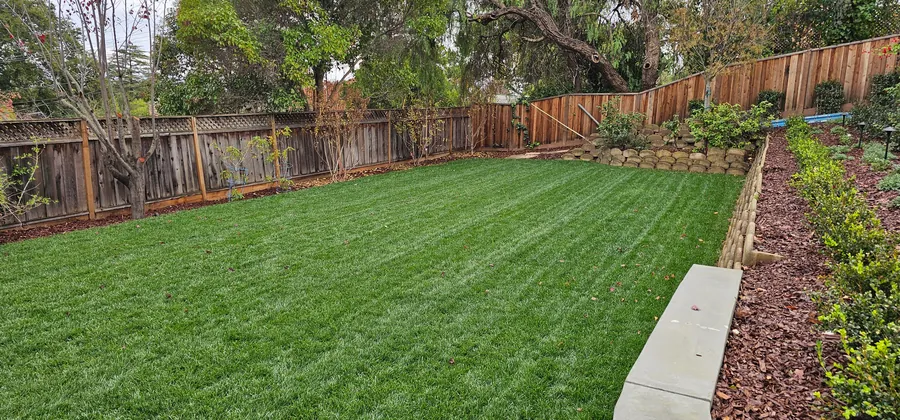 Sod Installation Cost in Vancouver 2026: Complete Pricing Guide
